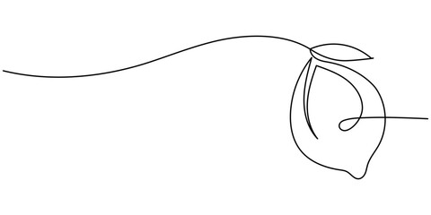 Lemon fruit continuous one line drawing minimalism design, Lemon yellow continuous one line drawing set isolated on a white background. Horizontal banner. Outline lemon citrus collections. Editable.