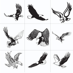 set of hunter bird eagle vector
