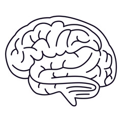 Brain outline stroke