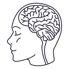 Persons brain stroke