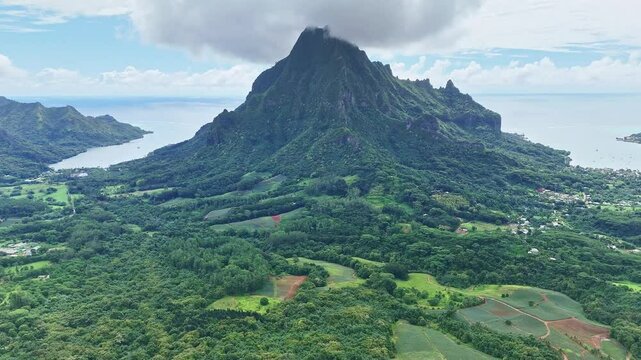 Drone aerial view of Moorea from Belvedere lookout. Tahiti French Polynesia. Tropical paradise, Tahiti adventure vacation. Green jungle mountain forest of Mount Rotui.