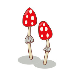 colorful, two red fly agaric mushrooms on a white background.