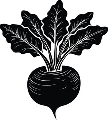 Kohlrabi with Leaves Silhouette | Natural Black Art for Vegan Illustration Vector