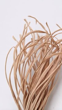 Close up of a sheaf of dried, light brown raffia, tied with a rubber band, lying on a white surface.