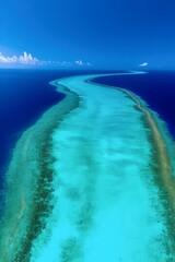 Coral Reef in Ocean: An expansive coral reef teeming with life stretches across the crystal-clear waters, revealing an underwater paradise under a bright sky. 