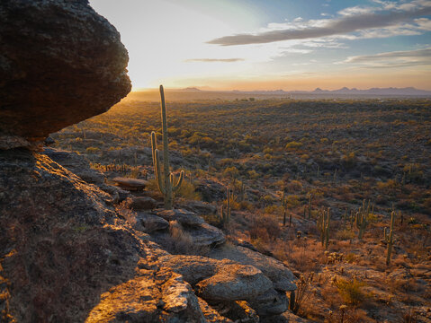sunset at saguaro national park