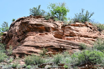 Obraz premium Bushes on top of rocky outcropping.