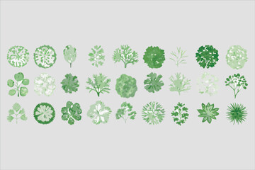 Set of Top View Tree Illustrations for Landscape Design Plans