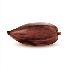 Whole cocoa fruit isolated on white background