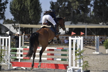 Equestrian Rider and Horse Clearing a Jump in a Showjumping Competition