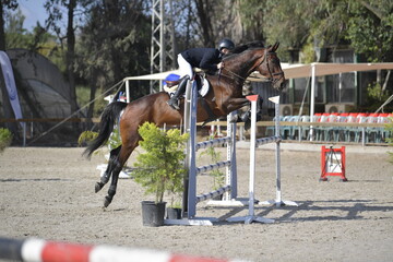 Equestrian Rider and Horse Clearing a Jump in a Showjumping Competition