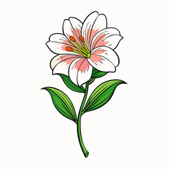 vector illustration of a flower