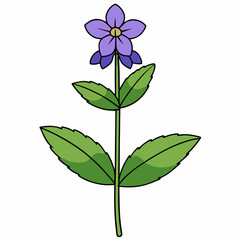 blue flower isolated