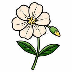 vector illustration of a flower
