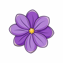 pink flower on white background