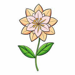 vector illustration of a flower