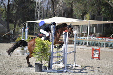 Equestrian Rider and Horse Clearing a Jump in a Showjumping Competition