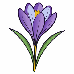 Naklejka premium purple crocus flowers