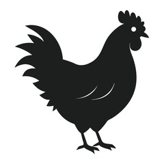 rooster isolated on white