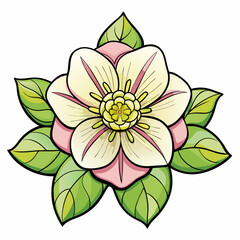 vector illustration of lotus flower