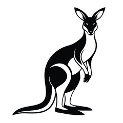 kangaroo vector illustration