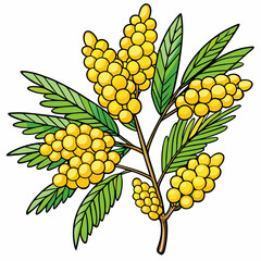 vector illustration of a bunch of grapes