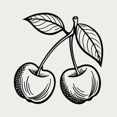 vector illustration of cherries