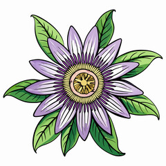 lotus flower isolated on white