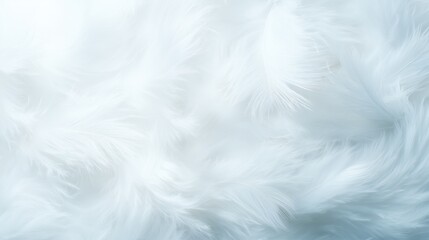 Soft White Feather Background in Light Blue Tone