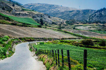 road through cultivated fields in the andes, merida venezuela