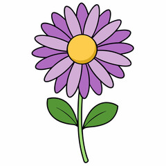 pink flower isolated on white background