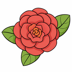 vector illustration of a rose