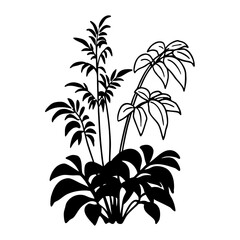 Professional tropical plant silhouette, clean cutout