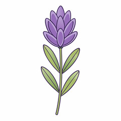 pink flower isolated on white background