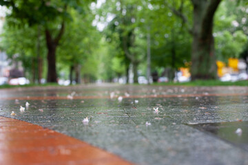 Alley with Shallow Depth of Field and Blurred Background