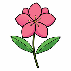 pink flower isolated on white background