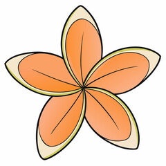 orange flower vector illustration