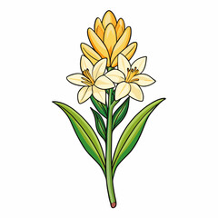 bouquet of yellow flowers