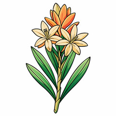 orange lily flower
