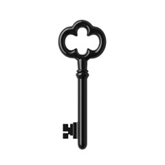 Key with elegant design and classic shape in sleek black finish for style and functionality