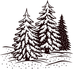 Snow covered evergreen trees in a winter forest landscape