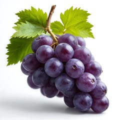 Fototapeta premium bunch of grapes isolated on white