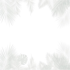Obraz premium Tropical Palm Leaf Frame Elegant White Background with Copy Space