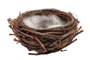 Empty Bird Nest with White Lining Nesting Habitat for Feathered Friends