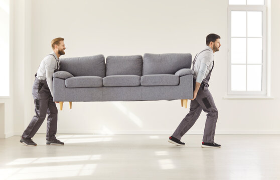 Workers of furniture store delivering sofa, upholstery, repair services advertisement, relocation at home placing new modern comfy couch in light living room, office moving day and renovation 