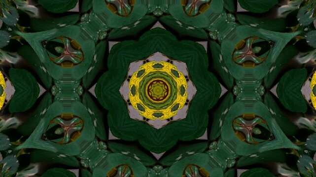 Abstract fractal green leaf texture pattern vector illustration with a seamless floral mandala design.