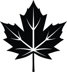 Obraz premium Maple leaf silhouette, autumn leaf vector, black foliage icon, seasonal nature design, simple botanical graphic 