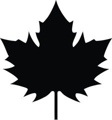 Maple leaf silhouette, autumn leaf vector, black foliage icon, seasonal nature design, simple botanical graphic
