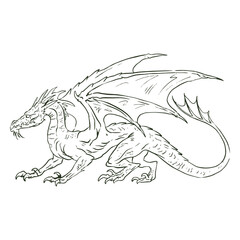 Hand drawn green dragon