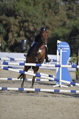 Equestrian Rider and Horse Clearing a Jump in a Showjumping Competition